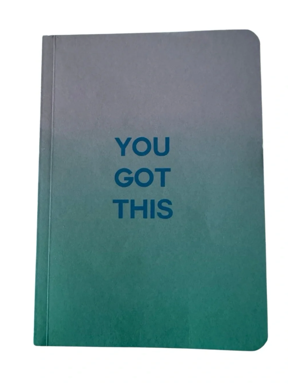 JOURNAL NOTEBOOK YOU GOT THIS blank lined pages purple teal ombré soft cover